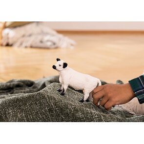 Schleich 13960 Gallowayská kráva