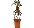 Harry Potter – Interaktivní Mandragora 30 cm