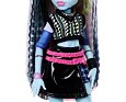 Frankie Stein – panenka Monster High s mazlíčkem a doplňky