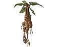 Harry Potter - Interaktivní Mandragora 30 cm