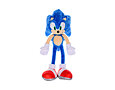 Ježek Sonic